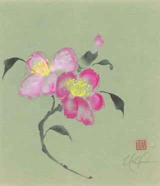 camellia