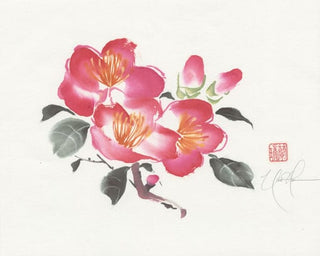 camellia