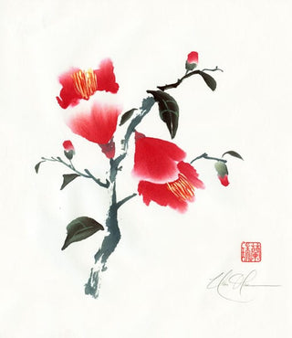 camellia