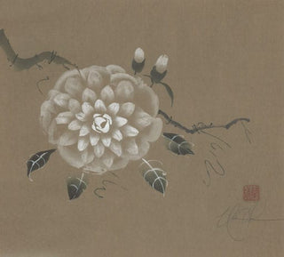 camellia