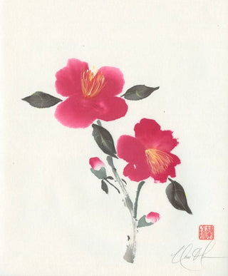 Camellia