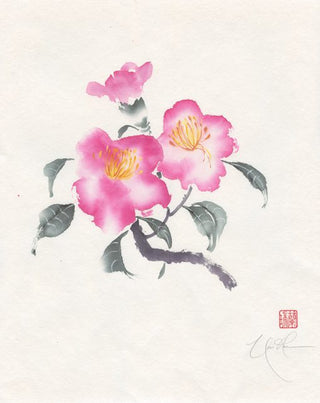 Camellia Trio