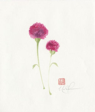 carnation