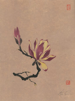 Magnolia III