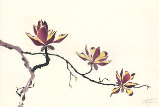 Study: Chinese Magnolia