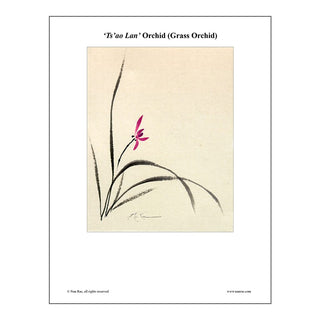 Chinese Orchid Brush Painting Class Lesson by Nan Rae