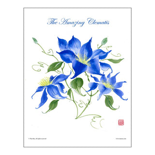 Clematis Brush Painting Class Lesson by Nan Rae