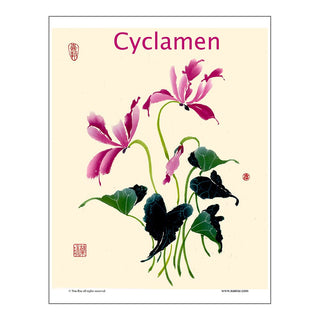 Cyclamen Brush Painting Lesson by Nan Rae