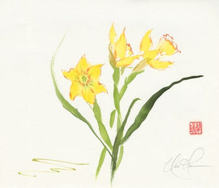 daffodil