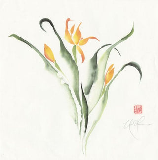 daylily