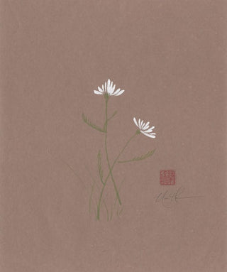 Daisies
