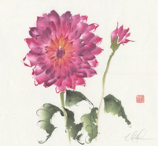 dahlia