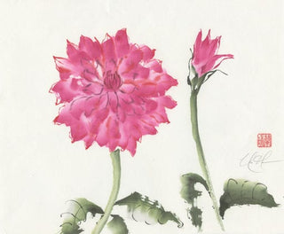 dahlia