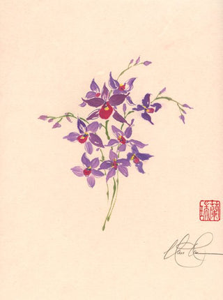 Dendrobium Orchid