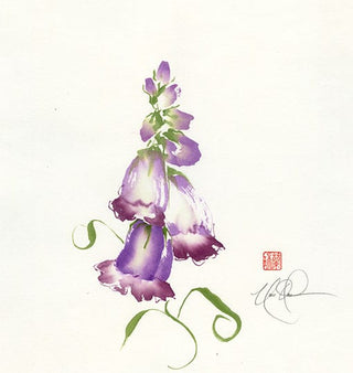 Heavenly Foxglove
