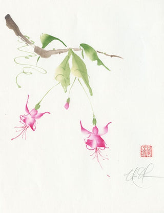 fuchsia