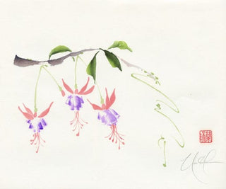 fuchsia