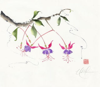 fuchsia