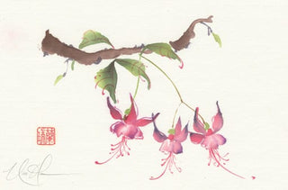 fuchsia
