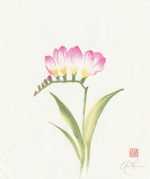 Freely Freesia – Nan Rae Studio