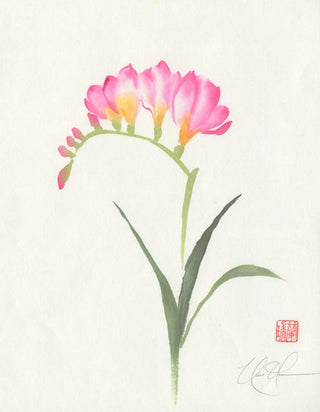 freesia