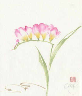 Freesia