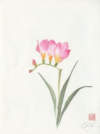 freesia