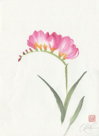 freesia