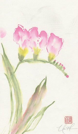 freesia