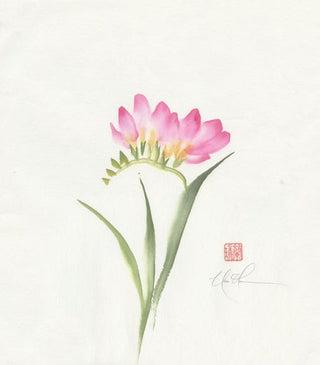 freesia