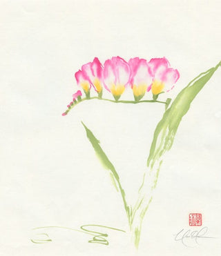 freesia