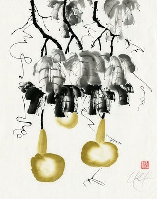 Gourds