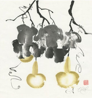 gourds