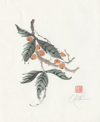 loquat