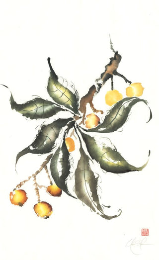 loquat