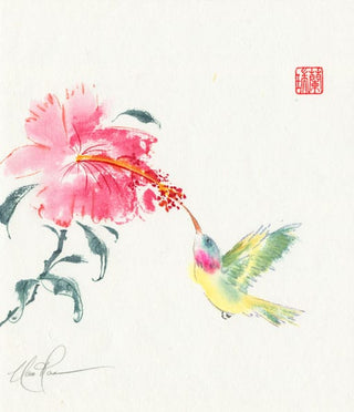hummingbird and hibiscus