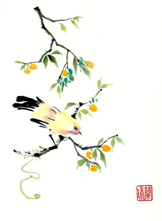 Original Bird painting by Nan Rae