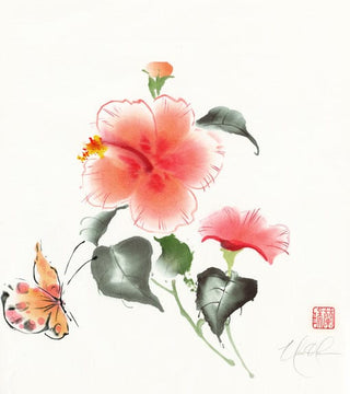 hibiscus and butterfly