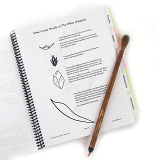 Inside Floral Notebook II by Nan Rae