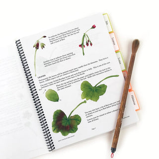 Inside Floral Notebook III by Nan Rae