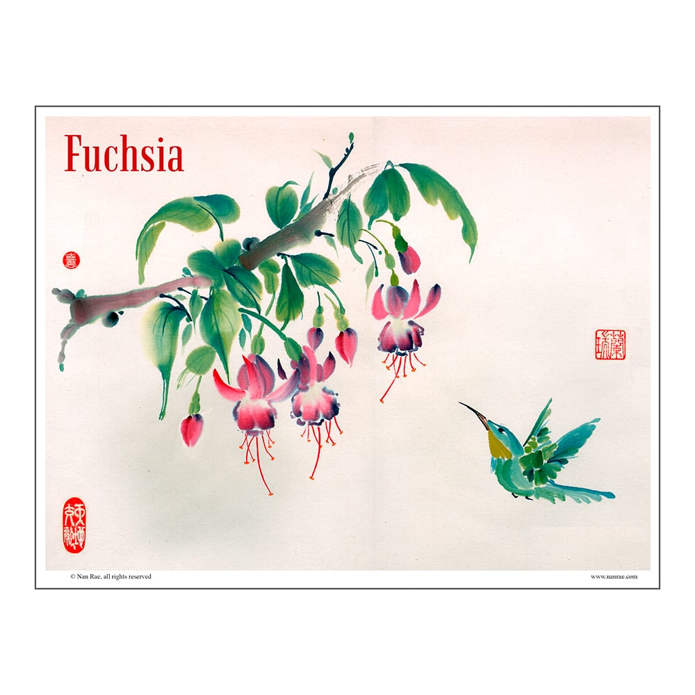 Rae Rae Hummingbird Fuchsia and Hummingbird Lesson – Nan Rae Studio