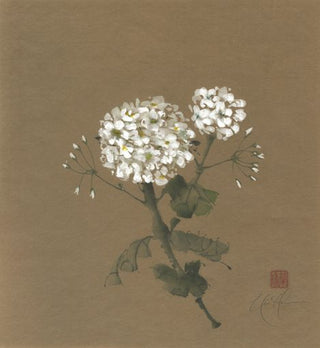 Pure Geranium