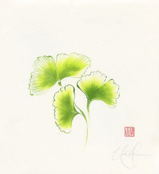 ginkgo