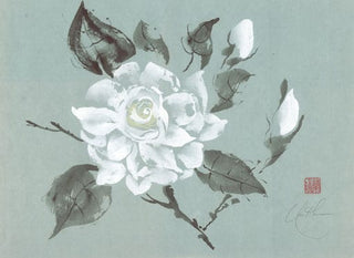 gardenia