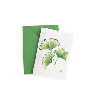 Ginkgo Gift Enclosure © Nan Rae