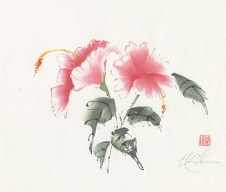 hibiscus