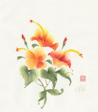 hibiscus