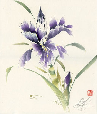 Bearded Iris painting by Nan Rae