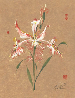 iris
