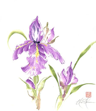 Iris artwork